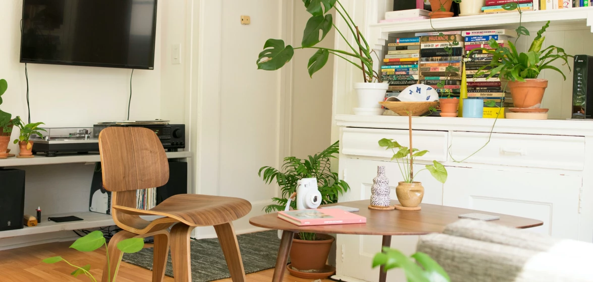 Intérieur de l'appartement, pièce salle a mange avec une chaise et une table en premier plan et une télé avec une bibliothèque derrière. Décor de plante et peinture blanche. 